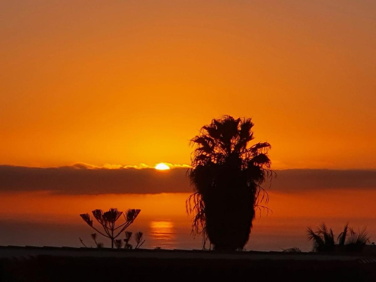 Vina Del Mar Lejlighed Playa de las Américas Eksteriør billede