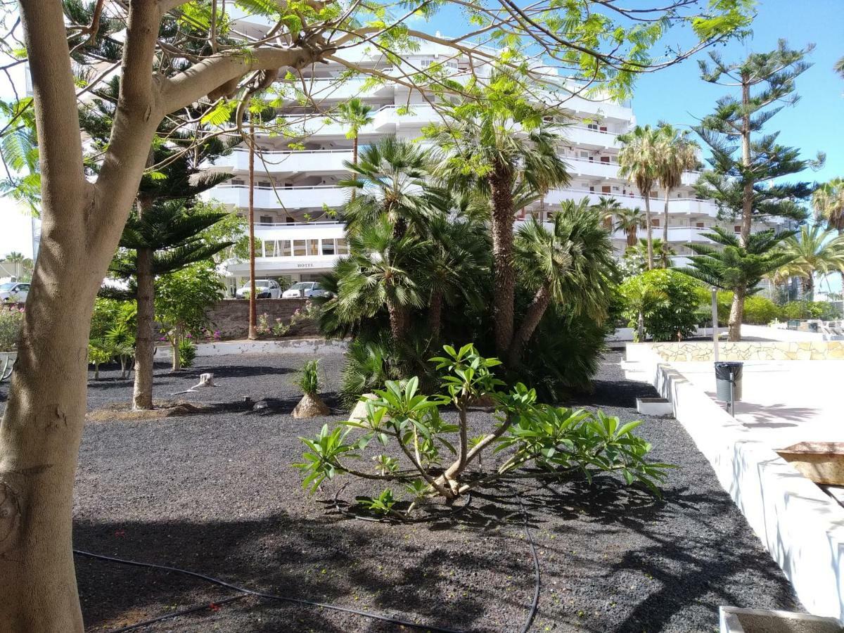 Vina Del Mar Lejlighed Playa de las Américas Eksteriør billede